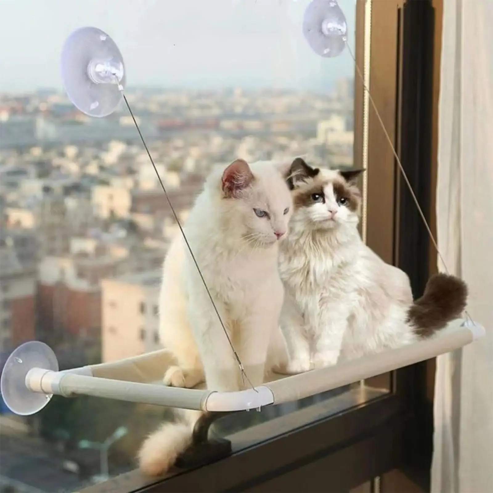 Cat Window Hammock Hanging Cat Bed Bearing Cat Sunny Window Seat for Indoor Cats Sleeping Space 1005009761798715