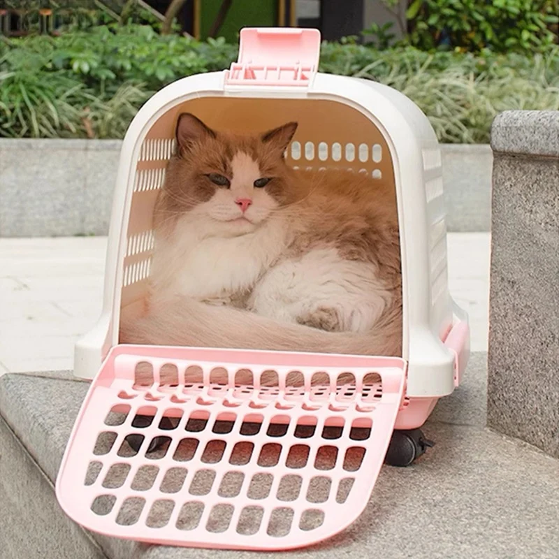 Portable Plastic Pet Carrier Durable Aviation Outdoor Transport Box Essential for Cat & Dog Car 1005009767701372
