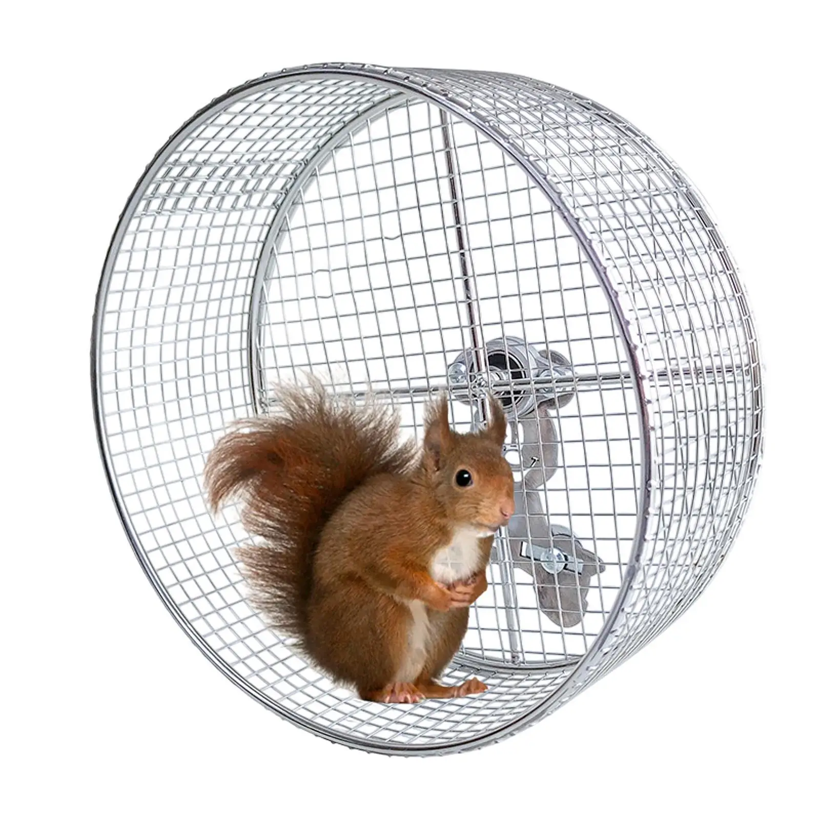 Hamster Running Exercise Wheel Toy for Maintaining Hamster Strength and Well 1005009768775156