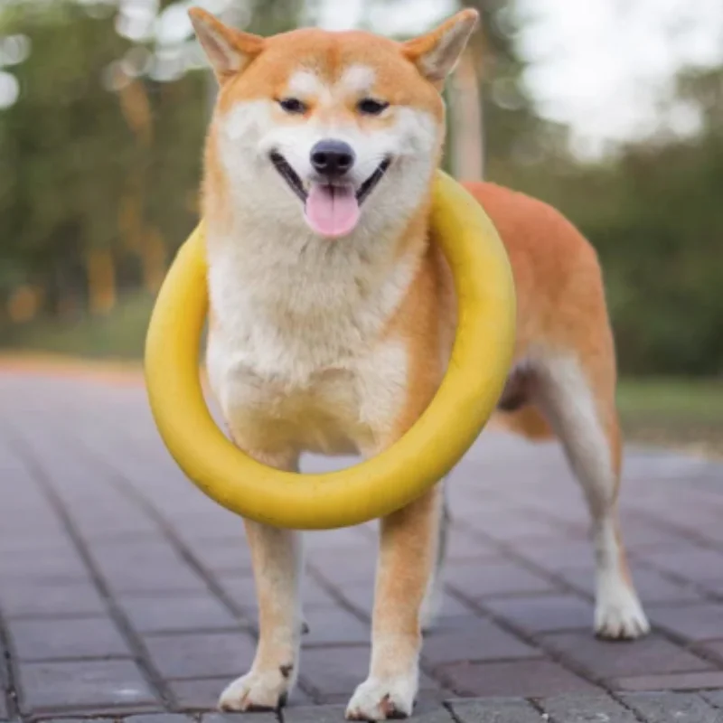 Dog Ring Toys Indestructible Chewing Flying Floating Training Tools Fetch for Small Medium Large 1005009776965930