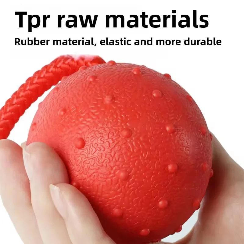 Dog Toys Indestructible Rubber Ball with Rope Solid Elasticity for Training Chewing Self 1005009777514844