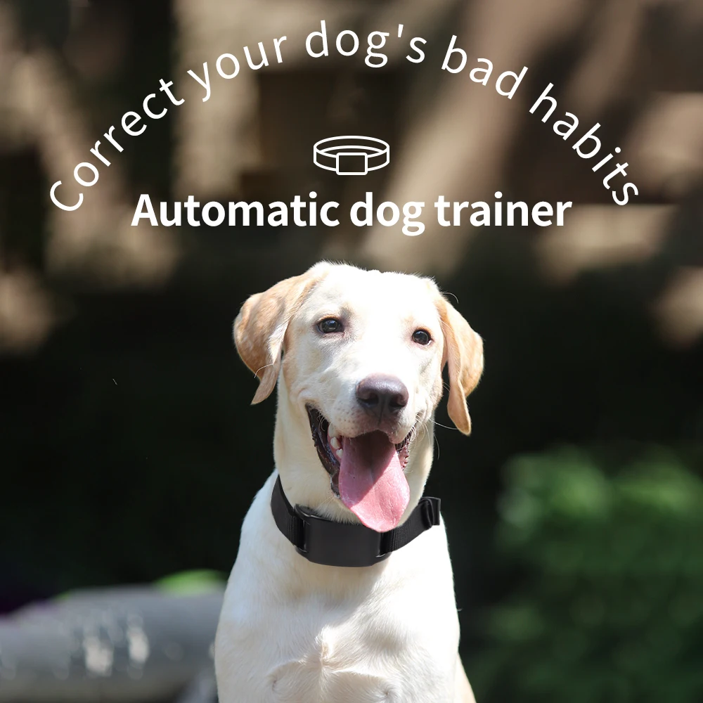 Pet Dog Training Collars Auto Anti-Bark Collar USB Rechargeable 7 Intensities Safety Static Shock 1005009778605175