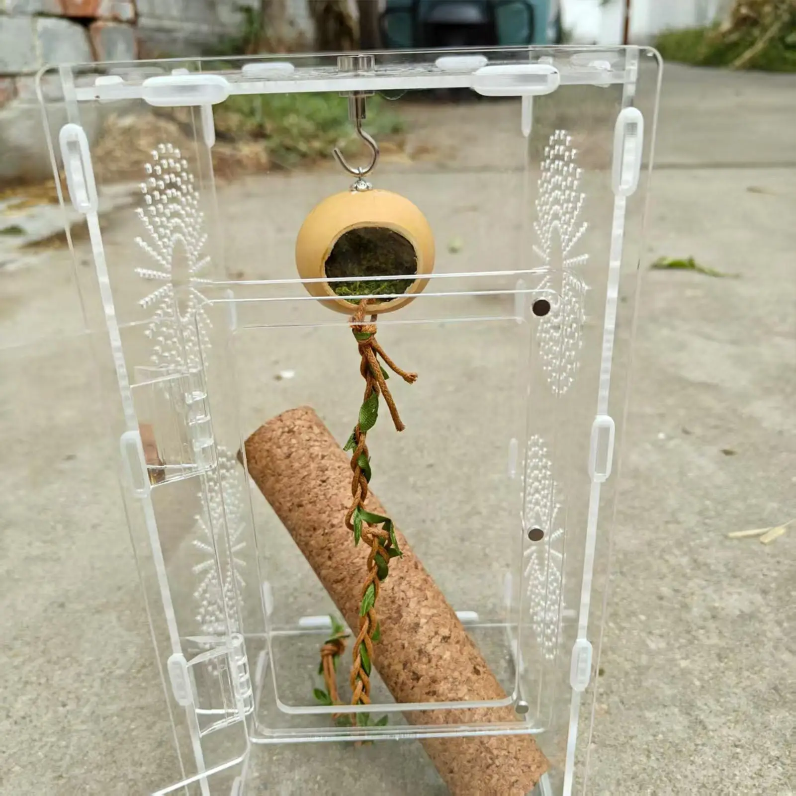 Jumping Spider Enclosure Accessories Climbing Rope Spider Enclosure Accessories Habitat Shelter 1005009797624016