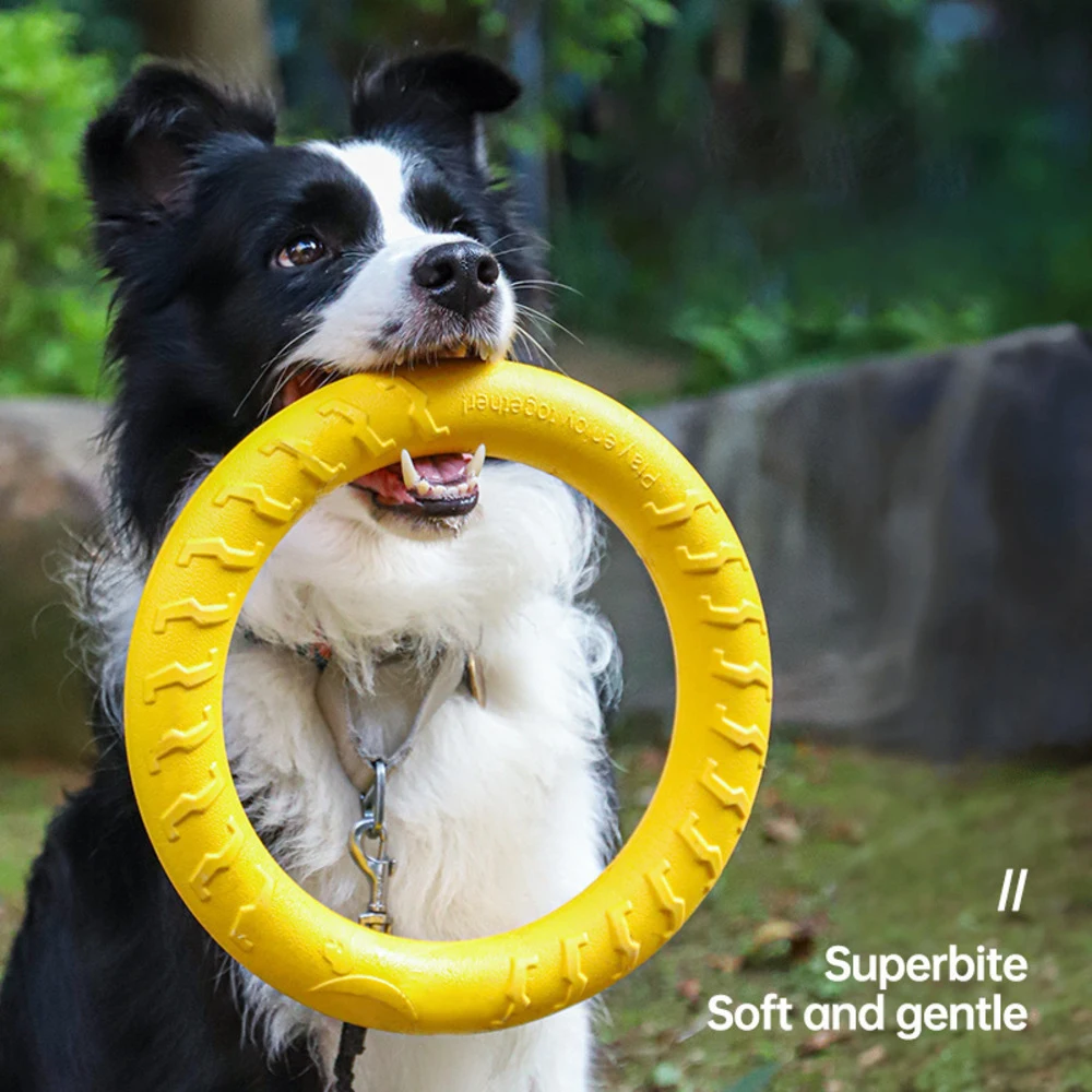 Dog Toy Training Ring Puller Puppy Flying Disk Chewing Toys Throwing Catching Flying Outdoor 1005009826540279