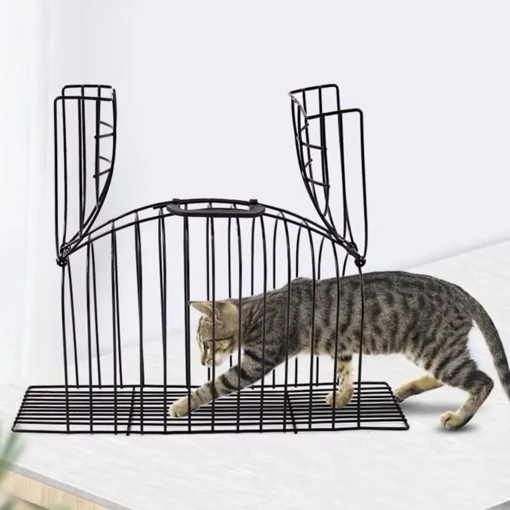 Metal Simple Cat Bath Cage Fixed Anti Biting Wash Seizing Portable Cleaning Pet Beauty Accessorie 1005009830764962
