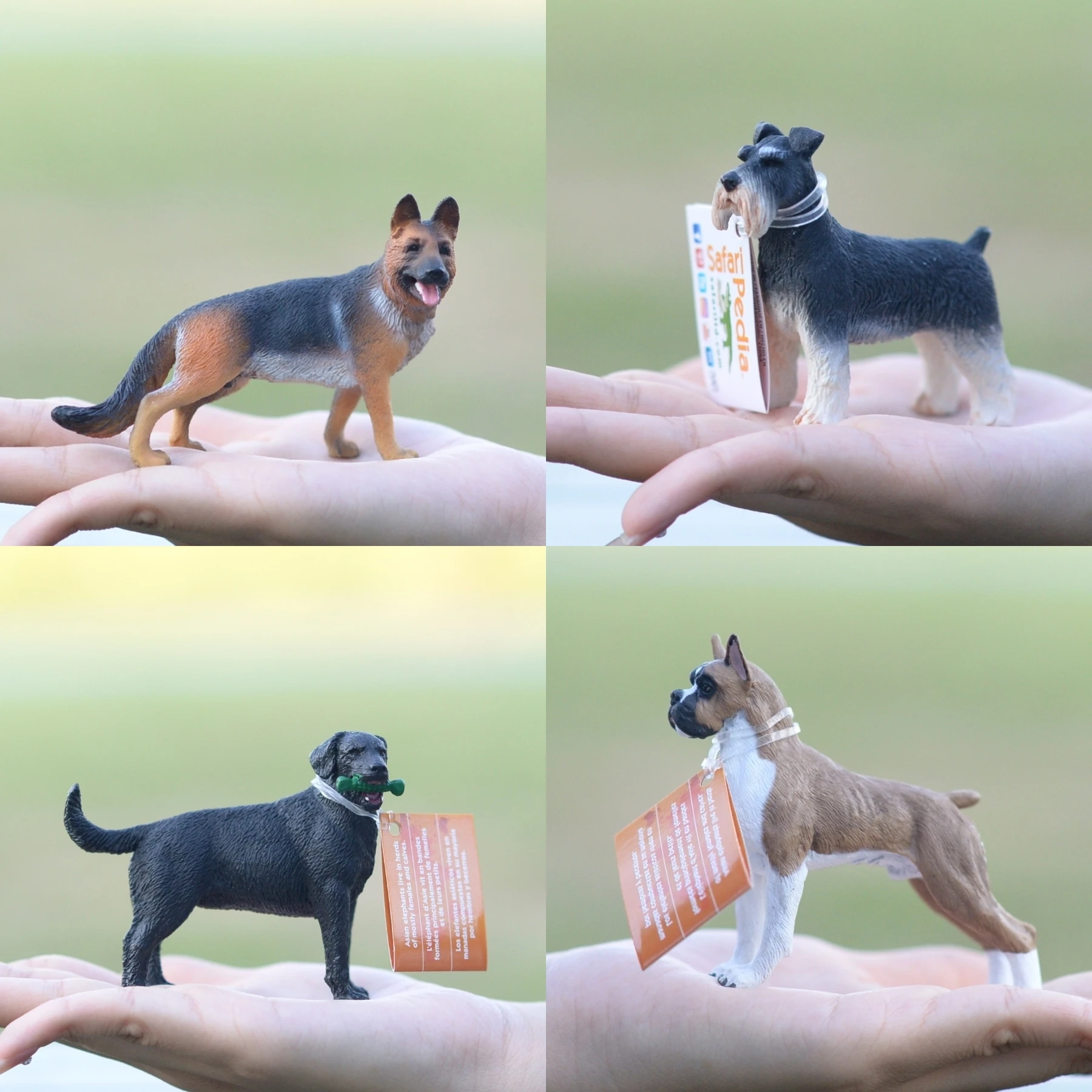 Safari Dog Toy Models German Shepherd Sheepdog Chihuahua Bull Terrier Static Animal Dolls for Ages 1005009836320281