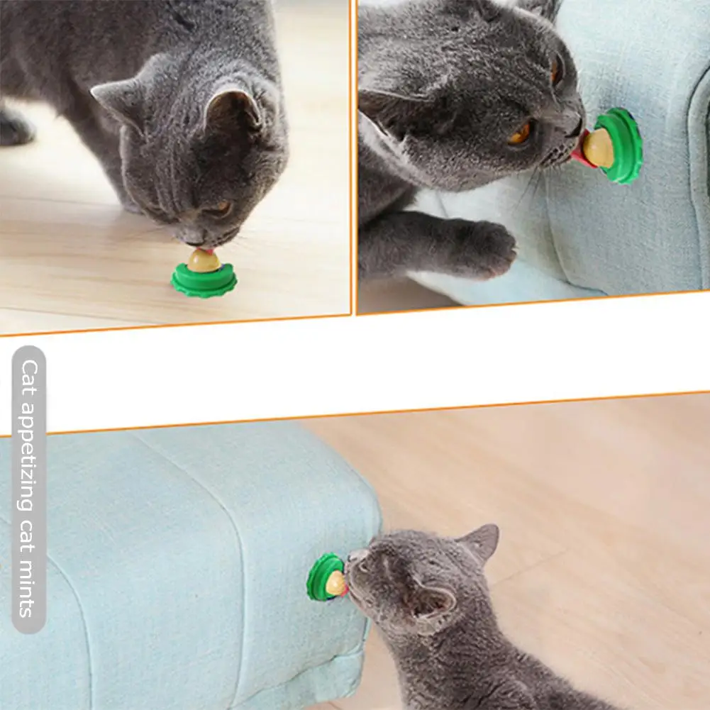 Cat Catnip Licking Candy Snack for Kitten Nutrition Fish Gel Energy Sugar Ball Increase Drinking 1005009872158615
