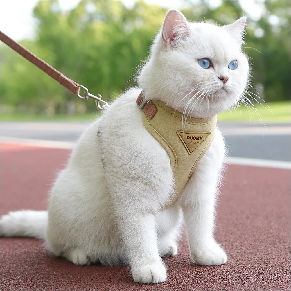 Cat Puppy Outdoor Walking Supplies Fashion Pet Harness and Leash Set for Small Dogs Cats Breathable 1005009873025855