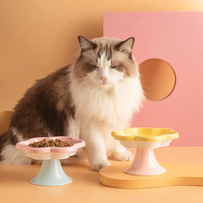 Ceramic High Legged Cat Bowl Elevated Macaron Flower Design Pet Food and Water Dish with Anti Slip 1005009878561127