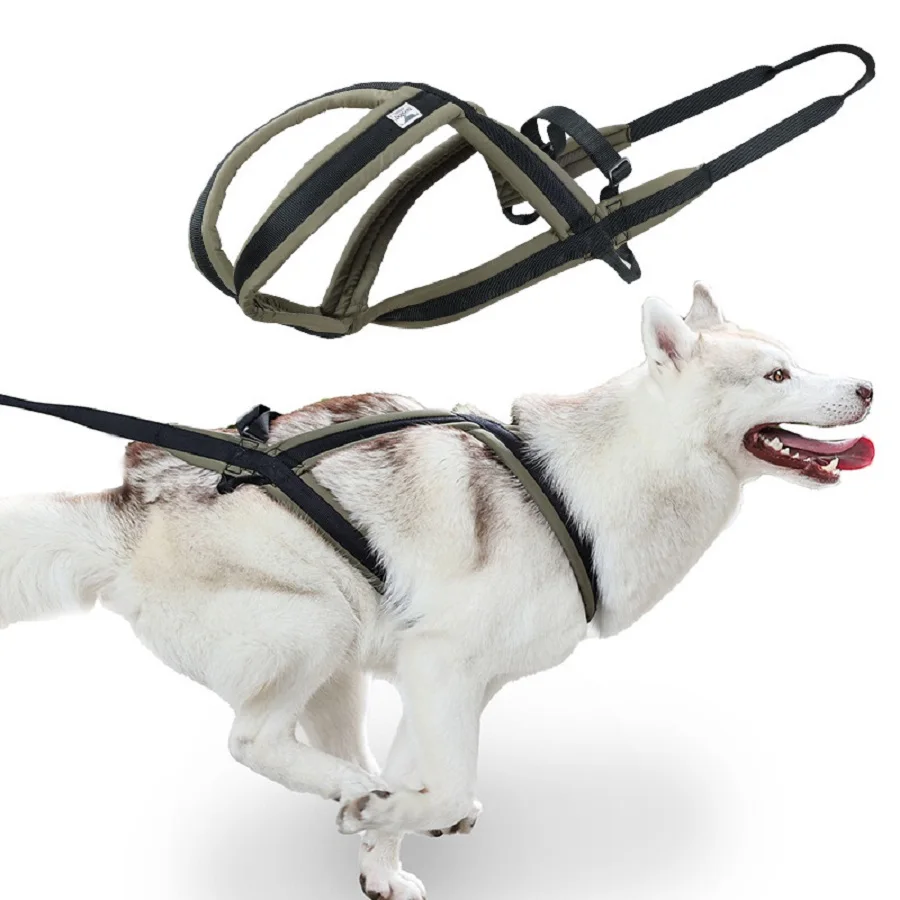 Outdoor Dog Harness and Leash Set for Medium and Large Dogs, Suitable for Walking and Sledding 1005009887010882