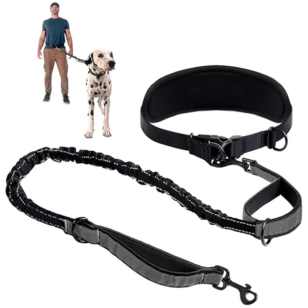 Hands Free Dog Leash Waist with Lumbar Support Belt Multifunctional Extendable Reflective Bungee 1005009903194769