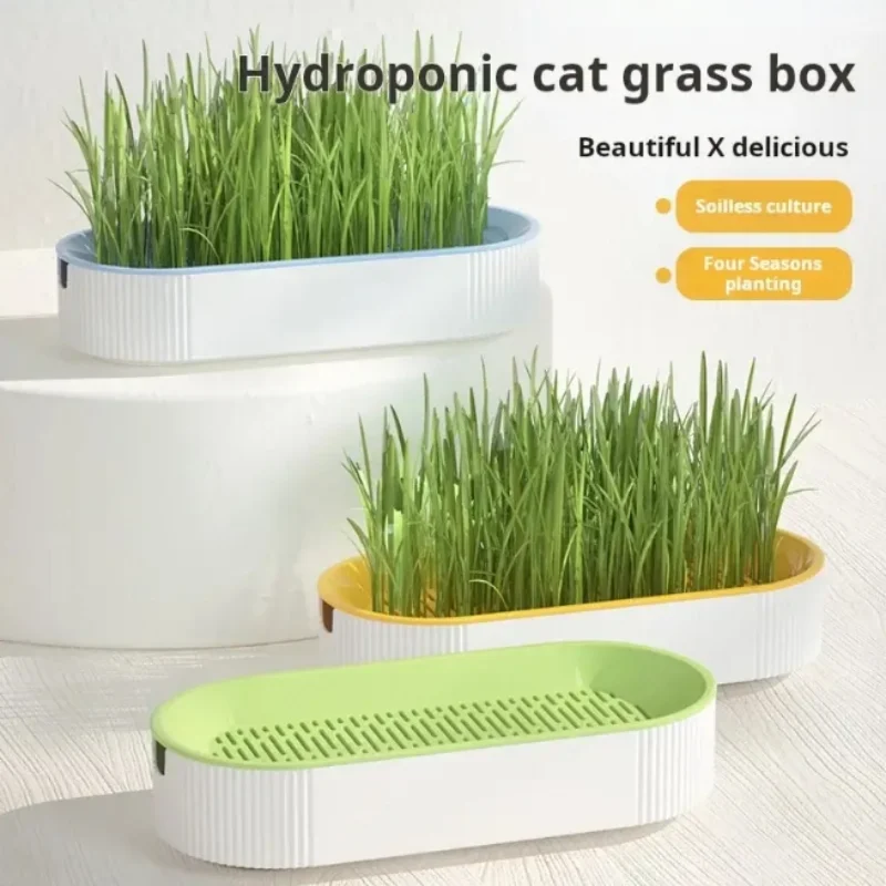Hydroponic Cat Grass Box Cat Treats Catnip Hydroponic Soilless Planting Cat Grass Pot Set for Easy 1005009919237097
