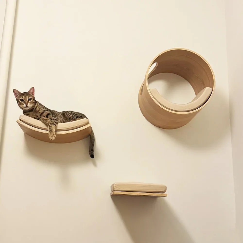 Cat Ledge Cat Steps with Cushions Wall Cat Platform Curved Wall Mounted Cat Bed 1005009921719094