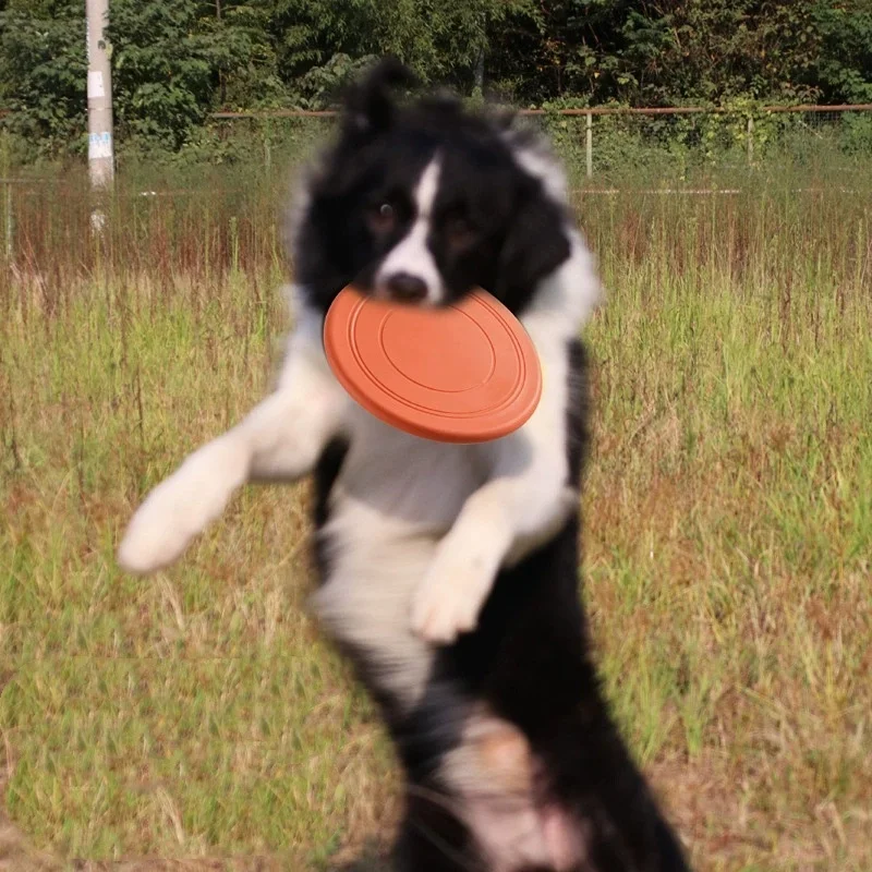 Interactive Silicone Flying Saucer Toy for Dogs and Cats Chew Resistant Flying Disc Pet Game 1005009990902402