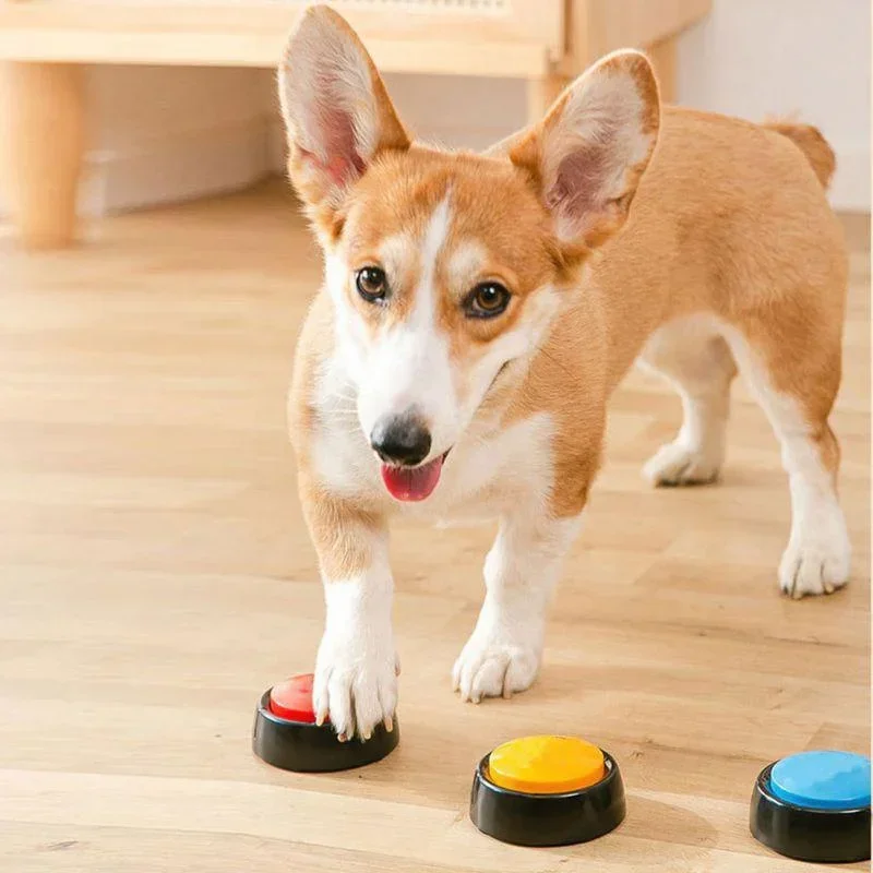 Pet Sound Box Recordable Talking Button Cat Voice Recorder Communication Supplies Training Squeeze 1005009992746394