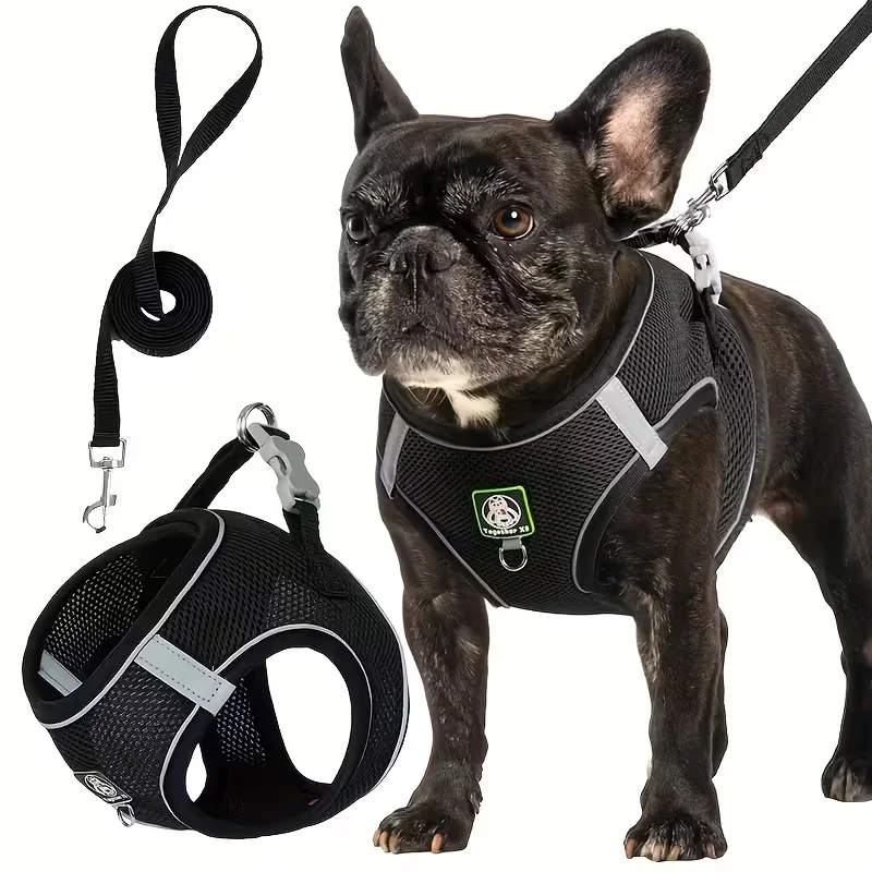 Dog Walking Harness 601 Small and Medium + Leash Set 2pcs, Without Battery 1005009998750302