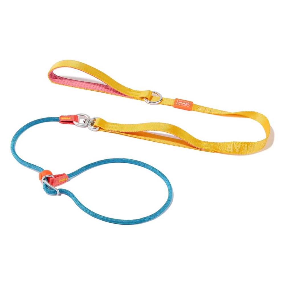 Slip Lead Dog Leash with Double Handles Dog Training Leash Anti-Tangle Heavy Duty Leash and Collar 1005010000757250