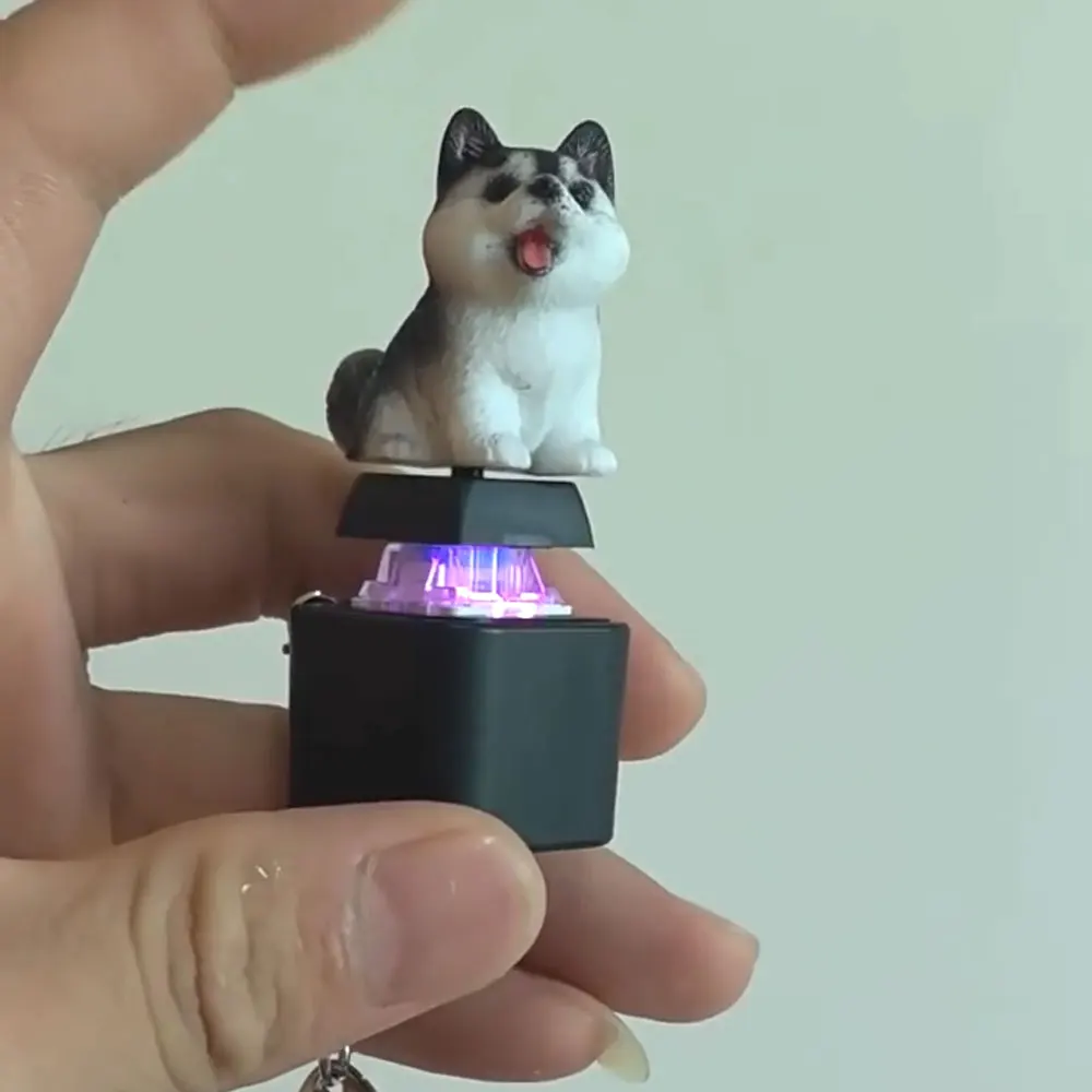 Funny Croaking Dog Keychain Rechargeable Cat Keyboard Fidget Clicker Sound with Led for Stress 1005010006809153