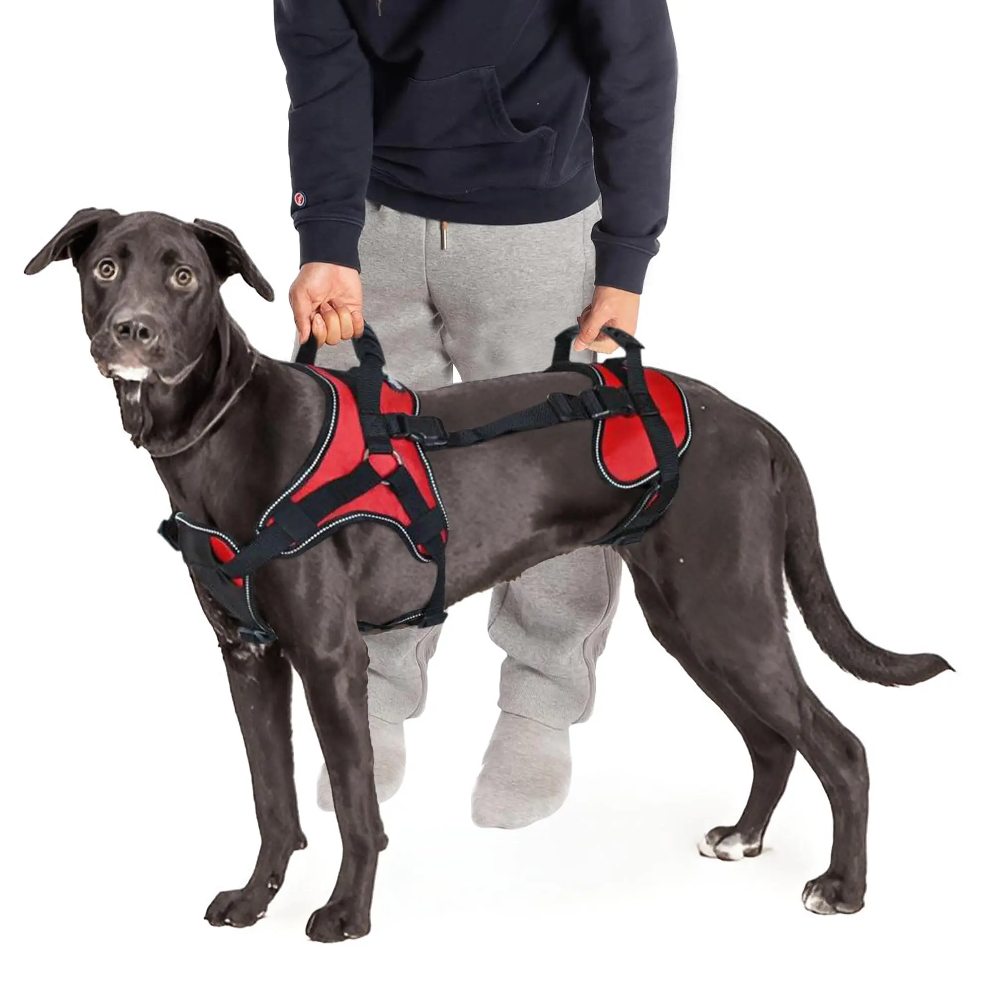 Wholesale Manufacturer Pet Harness Dog Sling for Back Legs Walk and Travel Lift Straps Large 1005010019455710