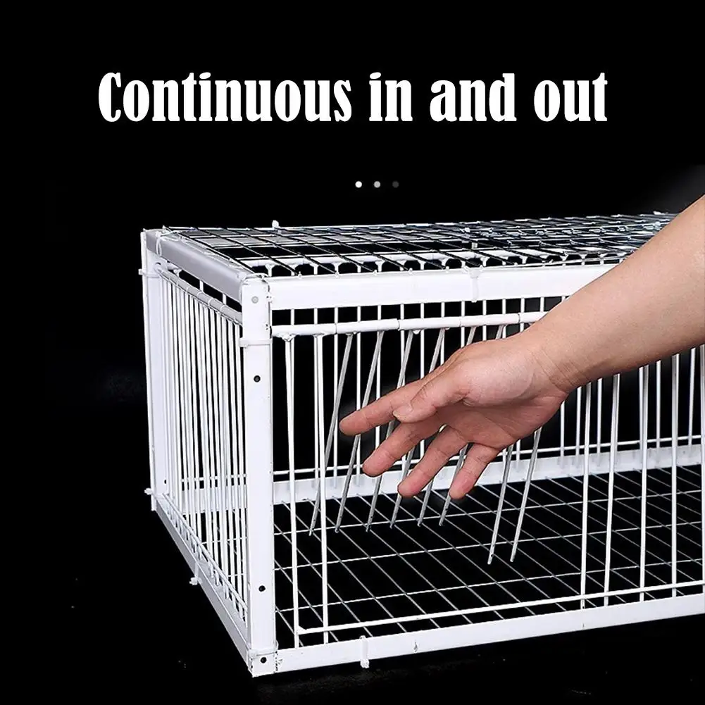 Auto Trap Bird Cage Rabbit Cage Mouse Cage Entry Only No Exit Thickened Encrypted Automatic Pigeon 1005010028822316