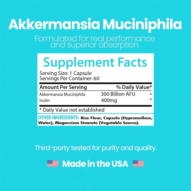 View 4