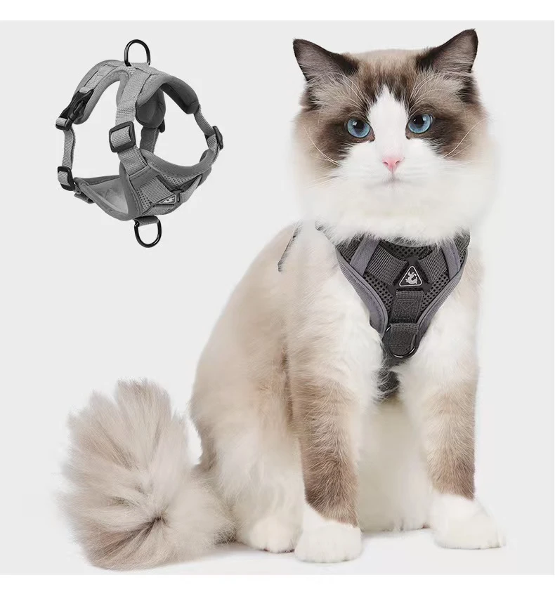 cat Chest Harness 1005010048642004