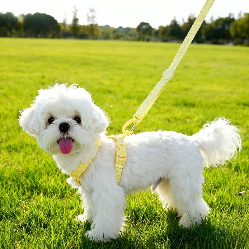 Adjustable Puppy Harness Set Reflective Dog Collar and Leash for Small Dogs Macaron Color Cat Safe 1005010052219411