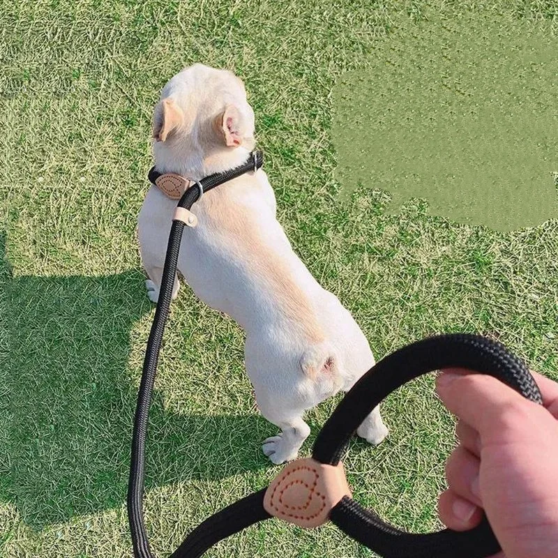 Dog Leash Slip Rope Lead Leash Heavy Duty Braided Rope Adjustable Loop Collar Training Leashes for 1005010058019013