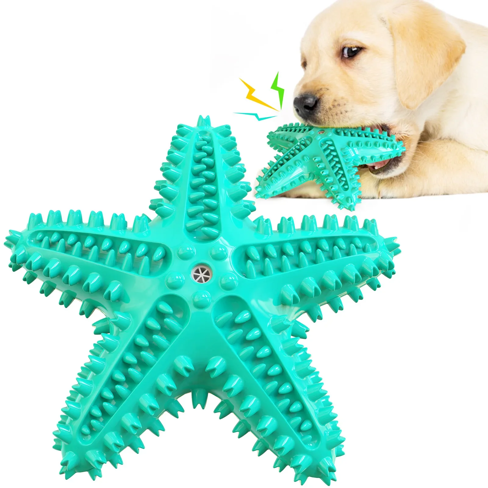 Sound Starfish Dog Toy Teeth Grinding Fun Toothbrush Pet Toy for Dogs New Hit Interactive Chew Toy 1005010070509927