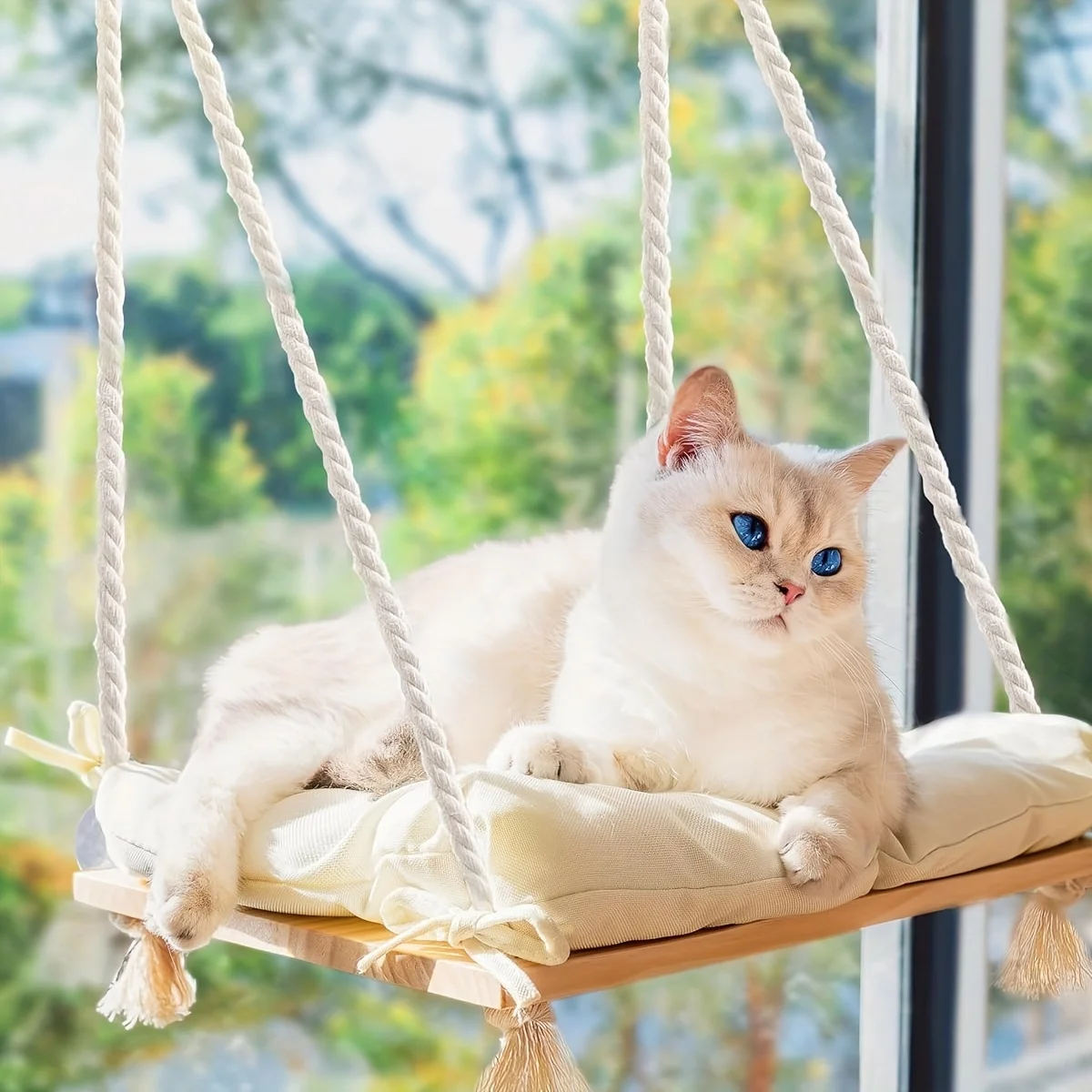 Cat Window Perch Bed with 4 Strong Suction Cups 1005010071379162