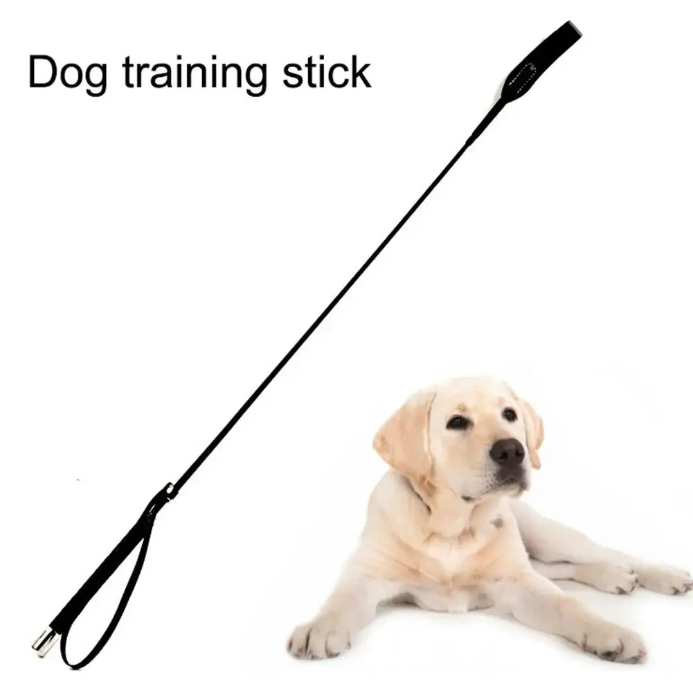 Pet Interactive Stick Dog Whip Dog Training Equipment Interactive Toy Flexible Safety Anti Bite 1005010073328846