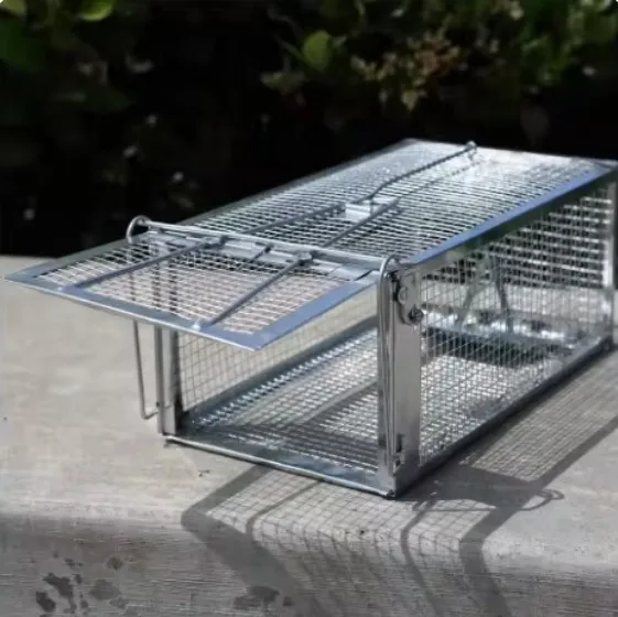 Live Humane Cage Trap for Squirrel Mouse Rat Mice Rodent Animal Catcher for Indoor and Outdoor 1005010093736546