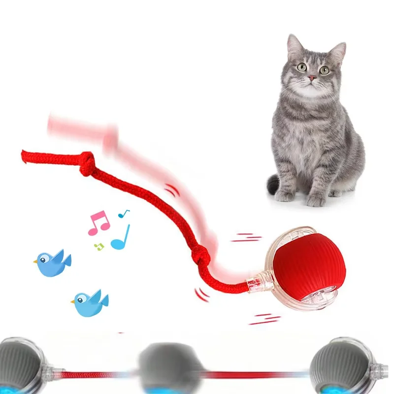 Interactive Dog Toys USB C Rechargeable Pet Interactive Toys Electric Cats Ball Automatic Rolling 1005010105042906