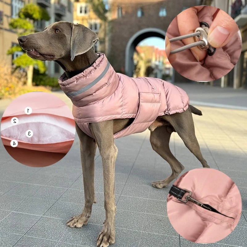 Winter Dog Down Jacket with High Collar 1005010123339079