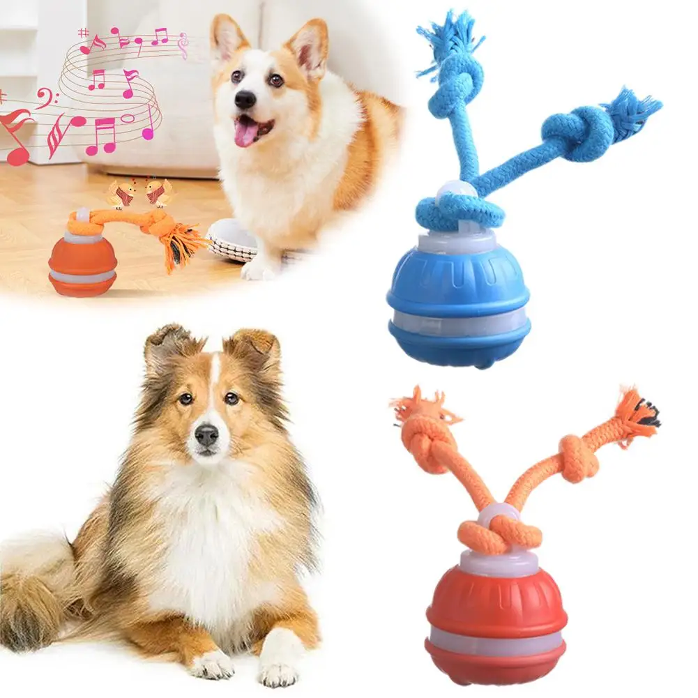 Interactive Dog Toy Ball with Rope Electronic Motion Activated Rolling Ball for Indoor Cat Dog Play 1005010127723098