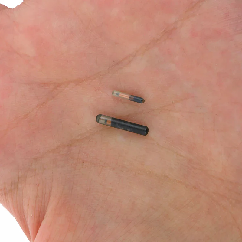 134.2KHZ Microchip Animal RFID Tag for Fish Dog Cat Identification Waterproof Electronic Chip for 1005010152187084