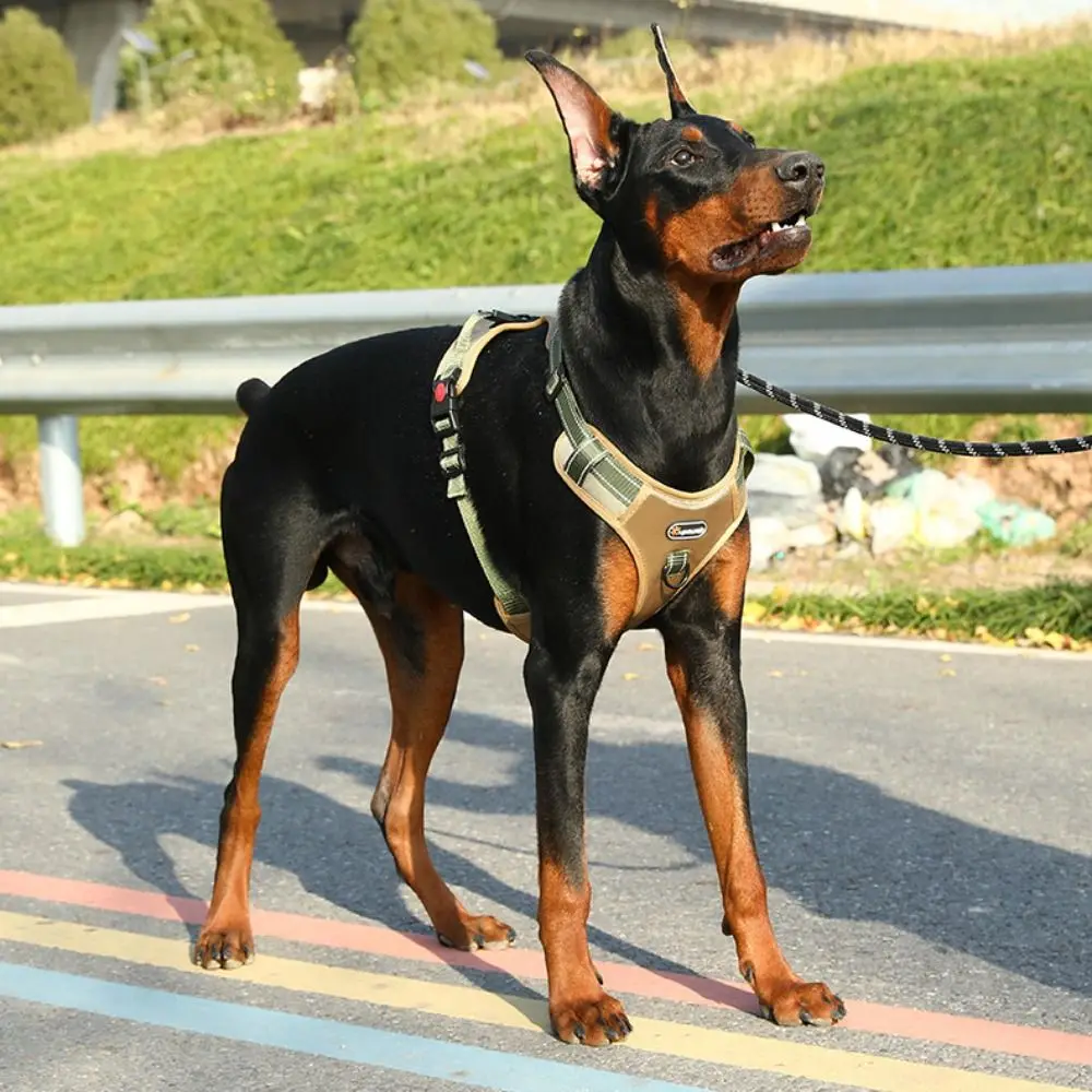 Adjustable Vest Type Dog Harness Lightweight Reflective Dog Chest Strap Durable Breathable Dogs 1005010174125505