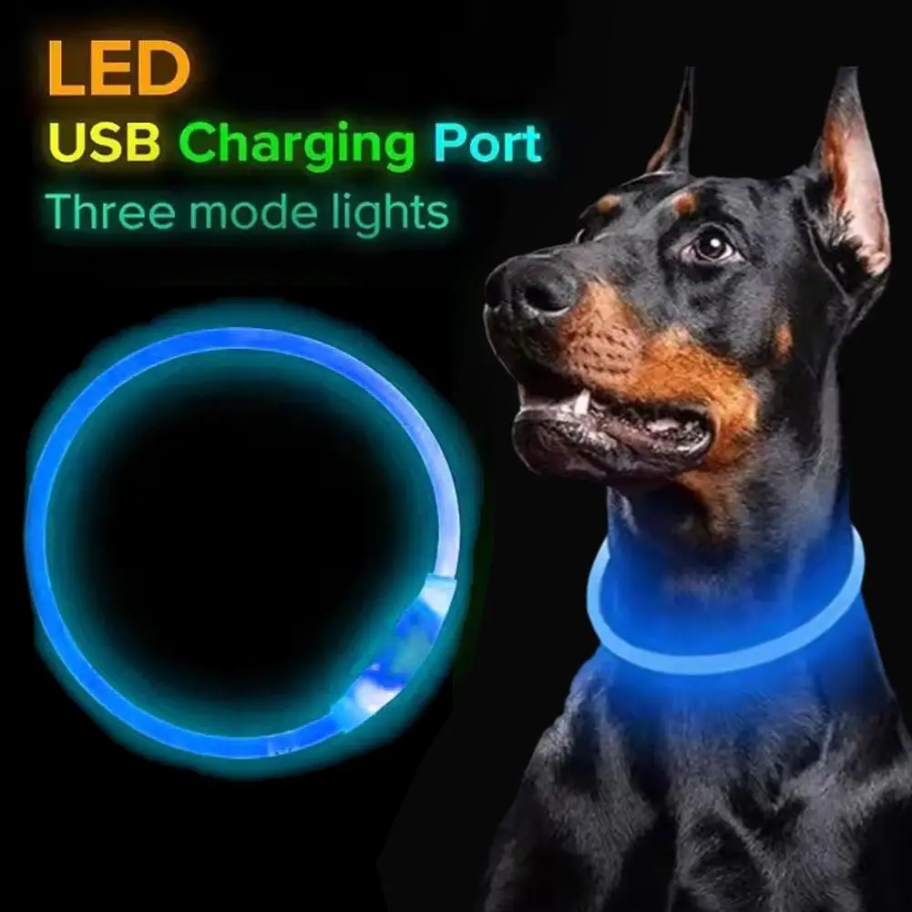 Led Usb Dog Collar Pet Dog Night Luminous Charge Collars Led Night Safety Flashing Glow Dog Loss 1005010195918459
