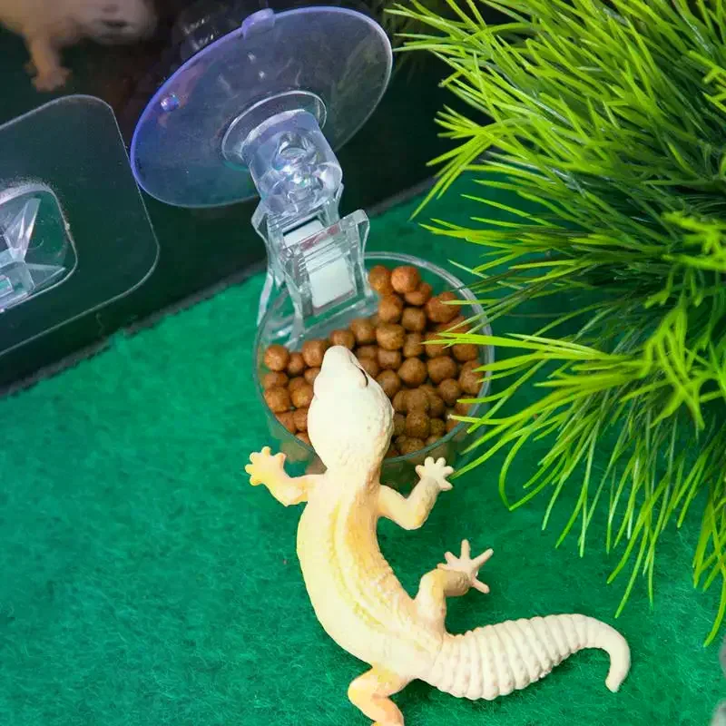 Reptile Water Food Bowl Suction Cup Food Tray Gecko Reptile Lizards Spider Tree Frogs Feeder 1005010197099301