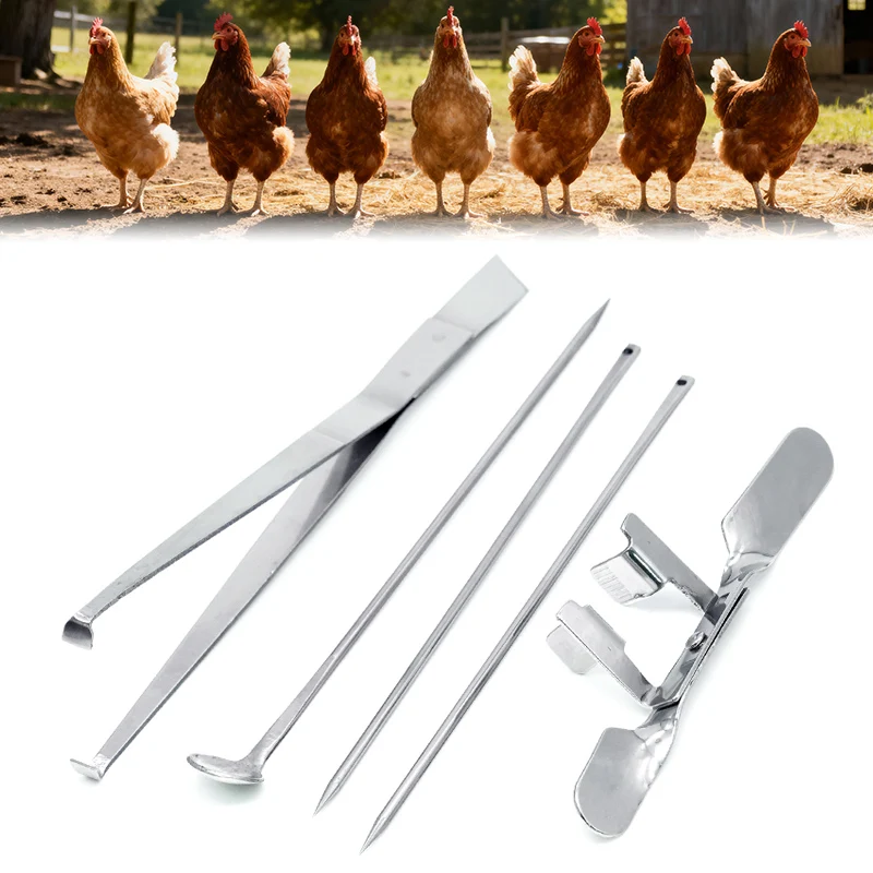 1set Stainless Steel Chicken Castration Tools Professional Large Chicken Baby Chick Fast Castration 1005010201943047