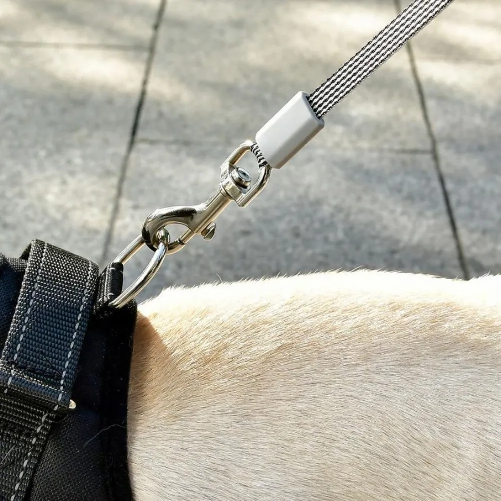Flexible Dog Walking Leash Portable Design Nylon Retractable Dog Leash Anti-Escape Mechanism 1005010204507526