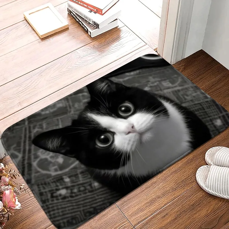 Entrance Doormat Realistic Cat Dog Pattern Rug Home Decoration Living Room Bedroom Kitchen Anti 1005010235791396