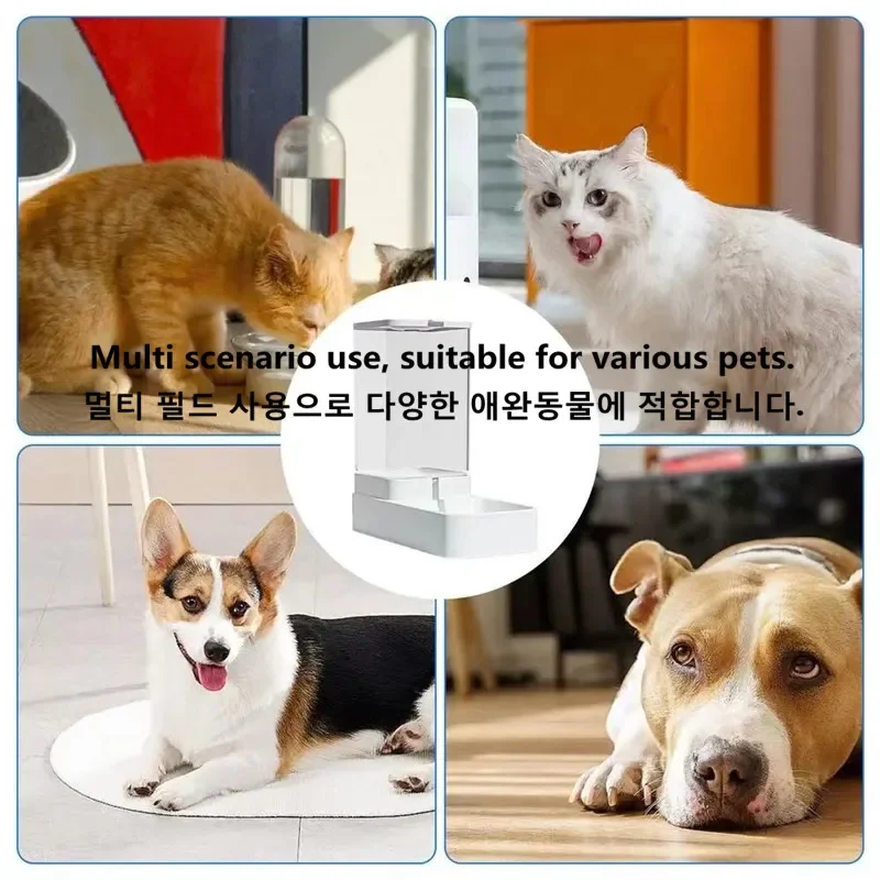 View 6