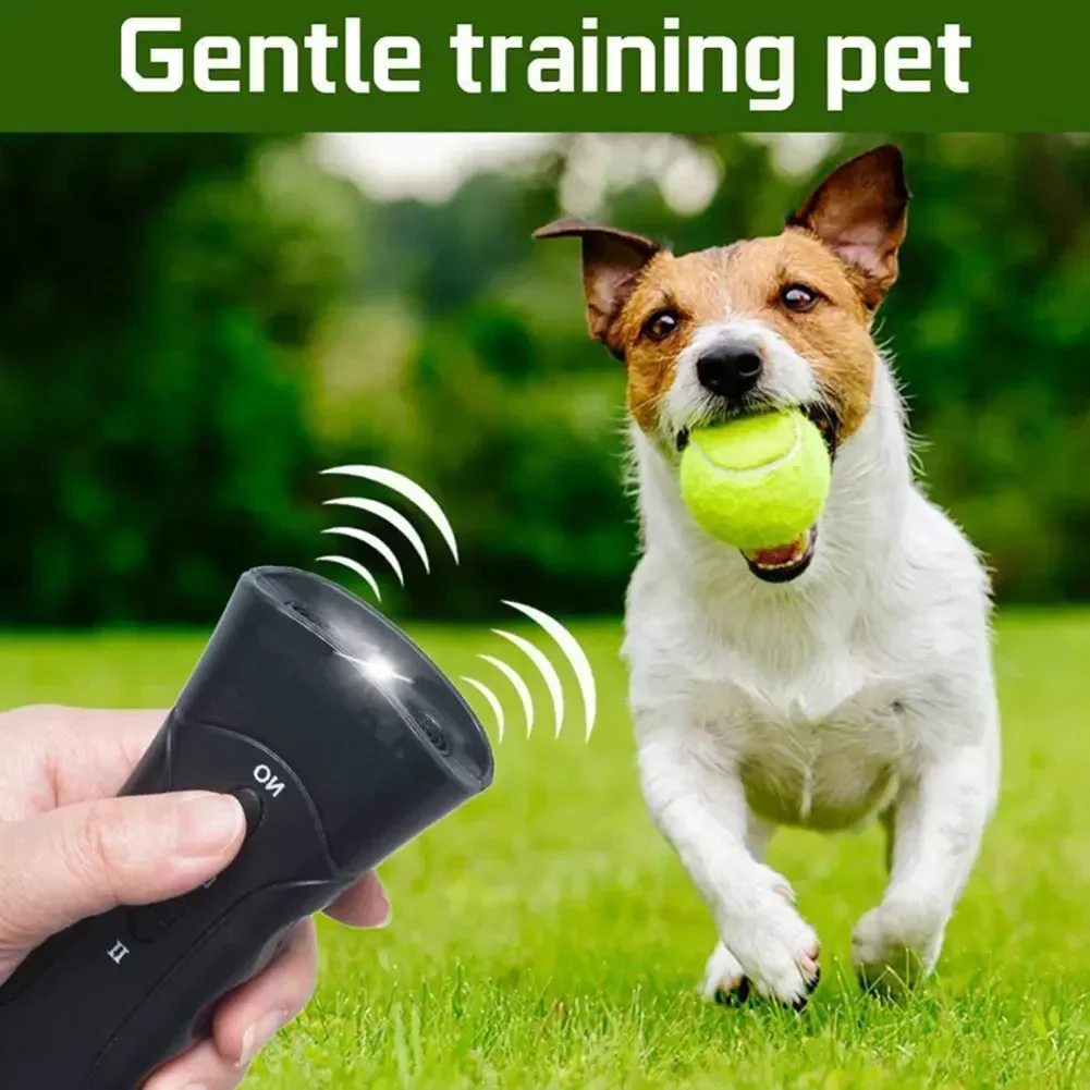View 5