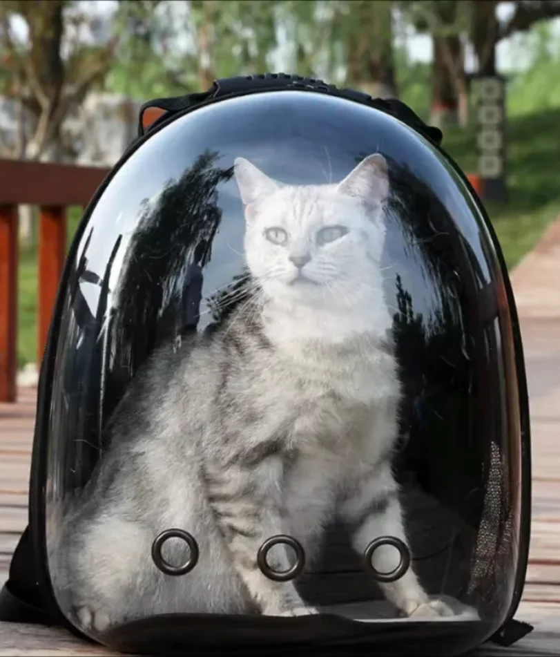 Portable Space Capsule Breathable Cat Bag, Pet Travel Supplies, carrying Pets Travel Essential 1005010258242655