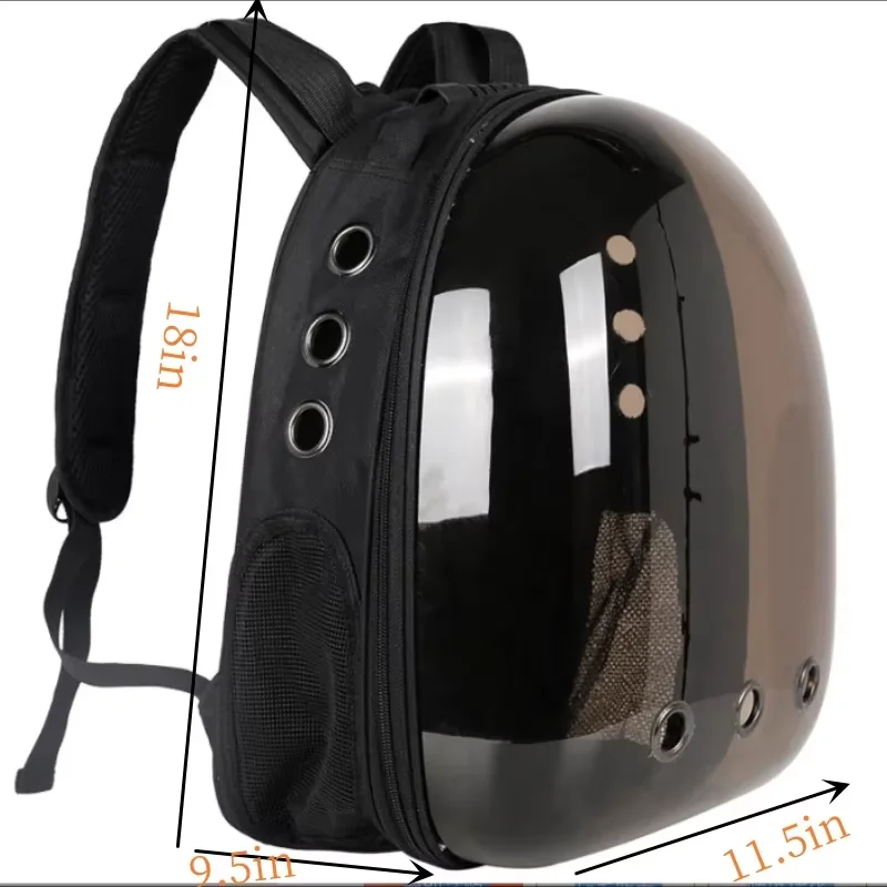 View 6
