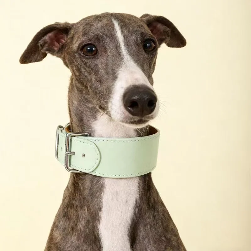 Wide Leather Dog Collar for Small Medium Large Dogs Swwet Italian Greyhound Whippet Pet 1005010265787750