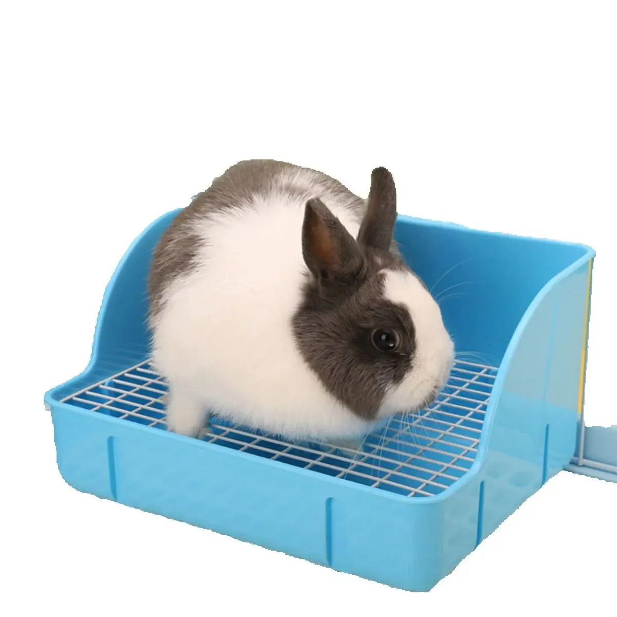 Corner Rabbit Litter Box Durable Toilet Trainer for Ferret Hamster Guinea Pig Small Animal Pet 1005010266132995