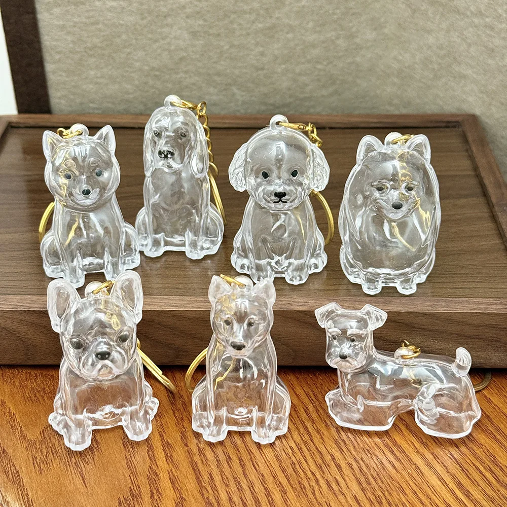 Dog Hair Storage Box Playful Memory Keychain Cute Dog Keychain Dustproof Transparent Capsule 1005010278386127