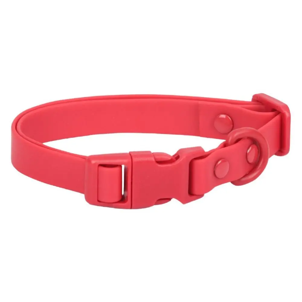 Elastic Webbing Pet Collar Adjustable Pet Identification Waterproof Dog Collar Rustproof Washable 1005010285352050